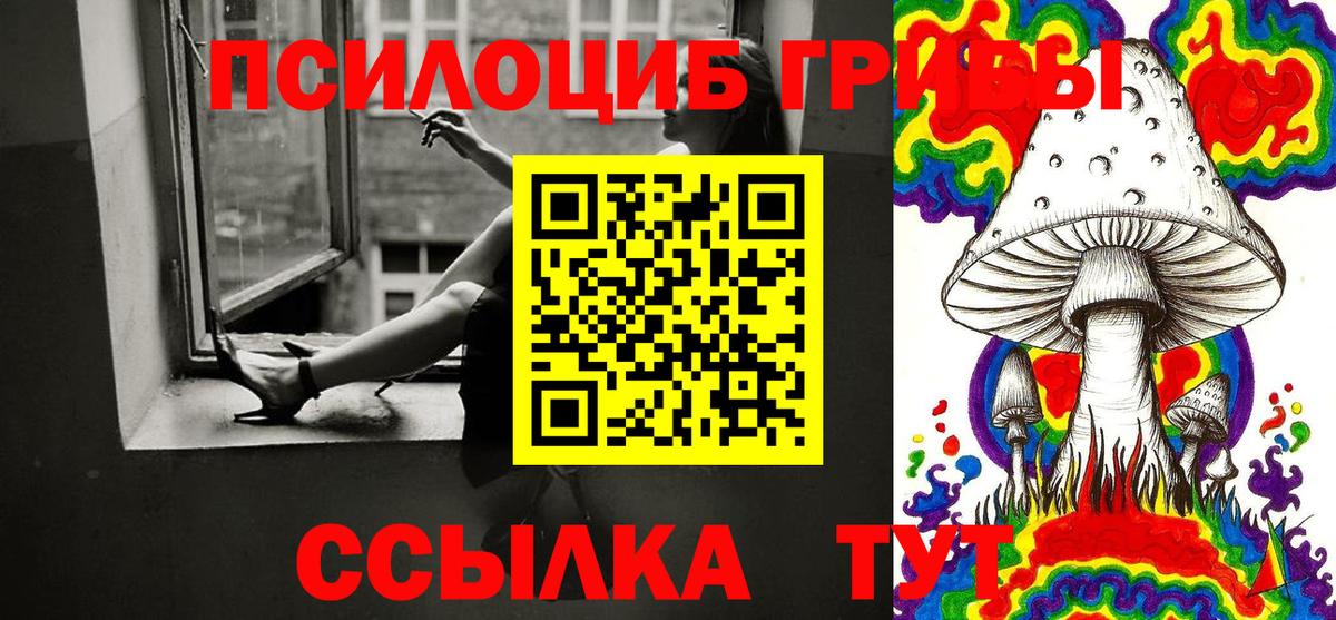 Всеволожск  Псилоцибиновые грибы мицелий  Вход с VPN 
